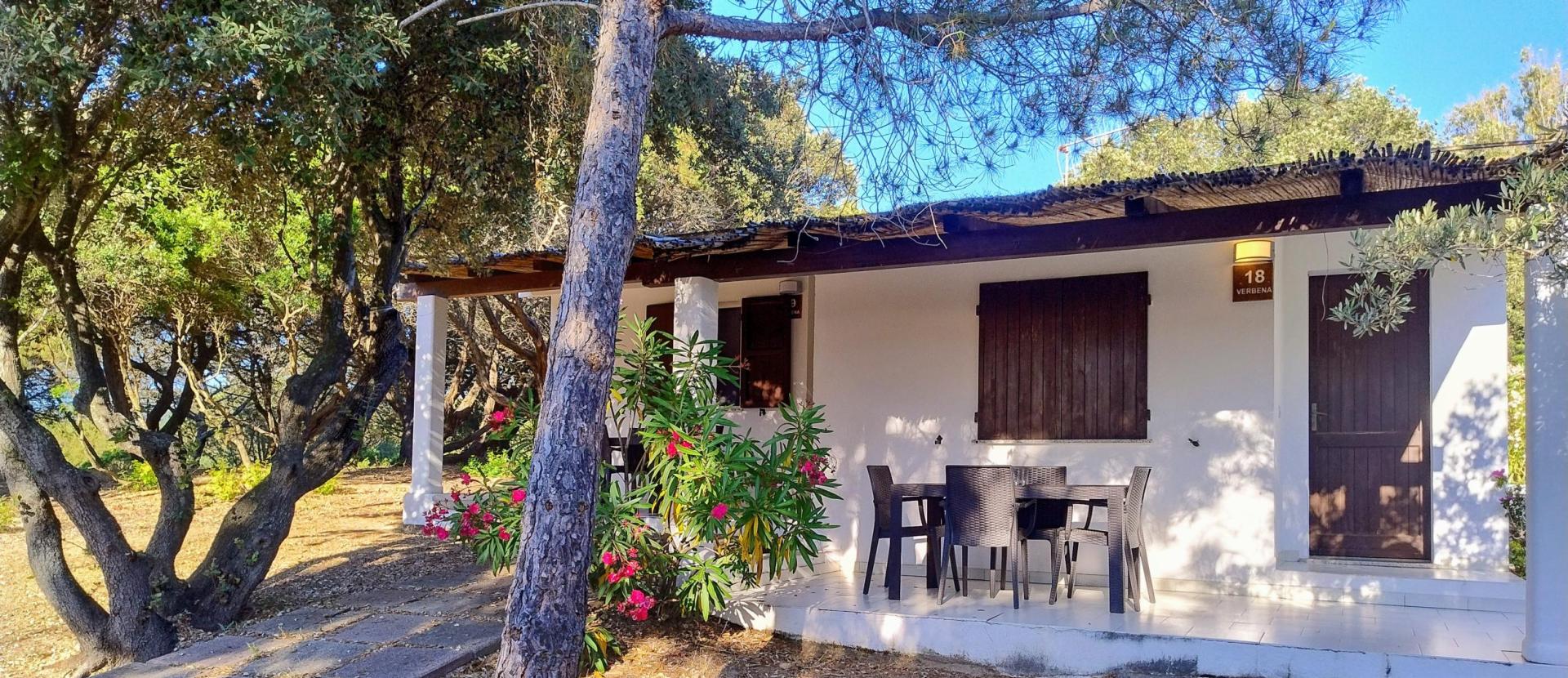 Bungalow surrounded by nature with a veranda and flowering garden.