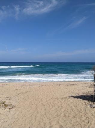 camping-baiaparadiso en beach 013